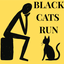 blackcatsrun.com logo